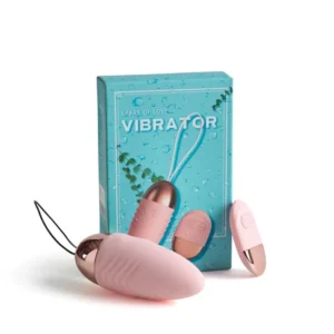 Wireless Vibrating Egg Sex Toy