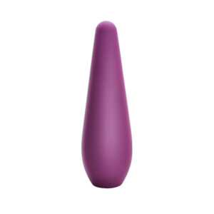The Rechargeable Bullet Vibrator