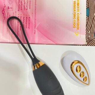 Remote control vibrator egg